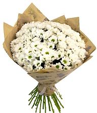 Букет цветов из:  Хризантемы #REPLACE_PRED# Федюково