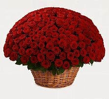 Премиум букет из: Розы #REPLACE_PRED# Федюково